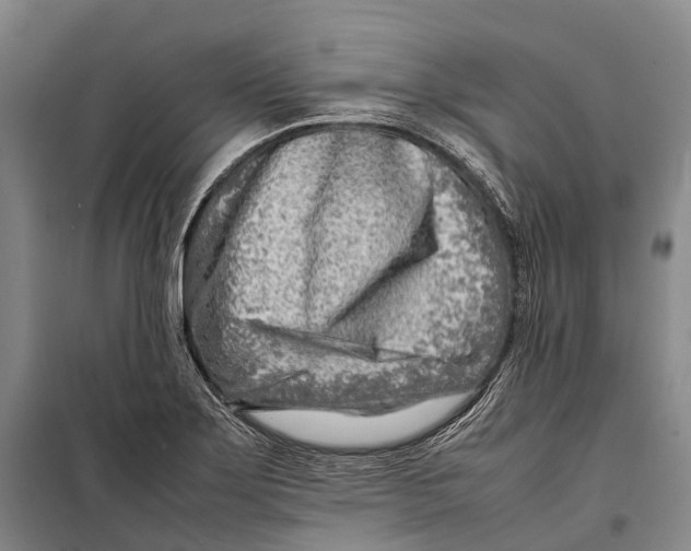 X0000098221275200805151308