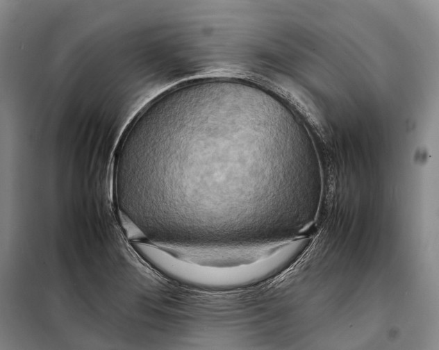 X0000098221276200805151308