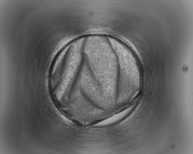 X0000098221277200805151308