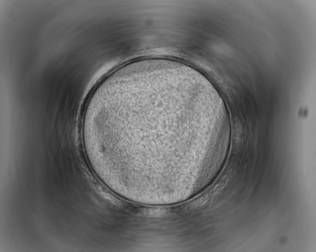 X0000098221278200805151308