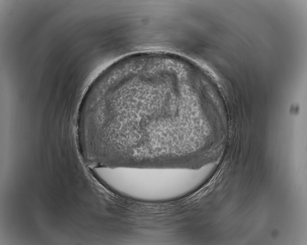 X0000098221279200805151308