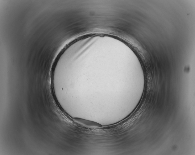 X0000098221280200805151308