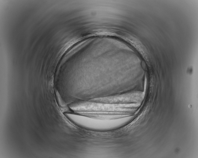 X0000098221281200805151308