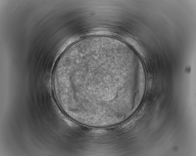 X0000098221282200805151308