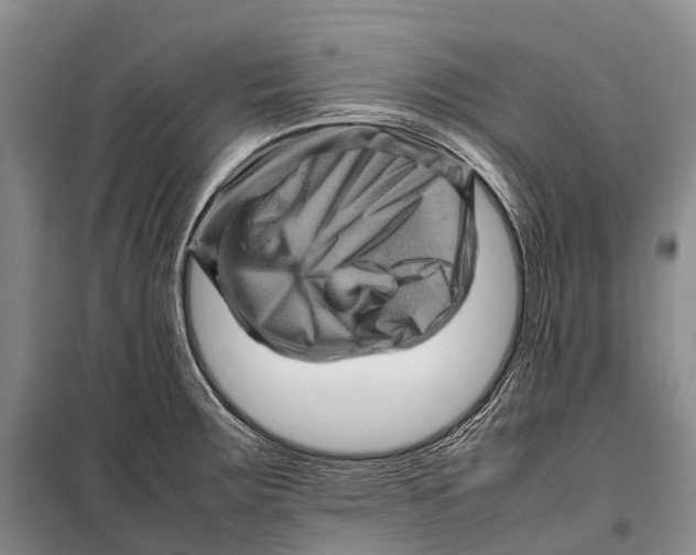 X0000098221283200805151308