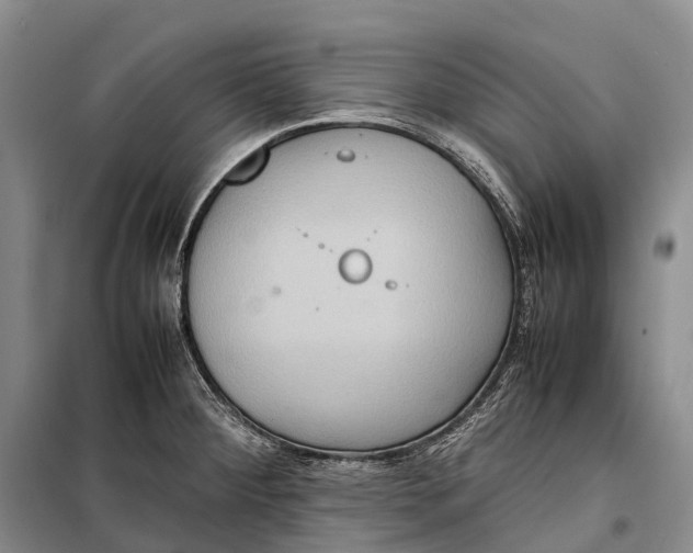 X0000098221284200805151308