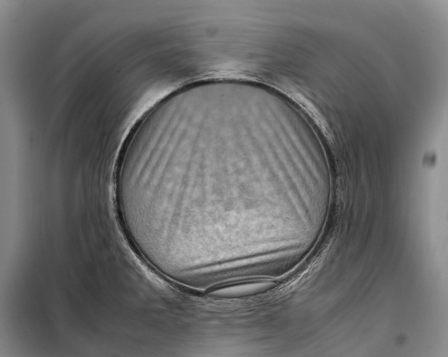 X0000098221285200805151308