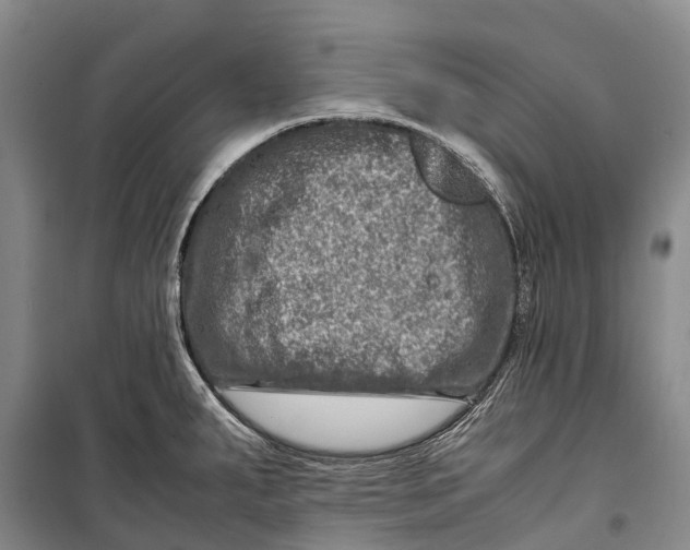 X0000098221287200805151308