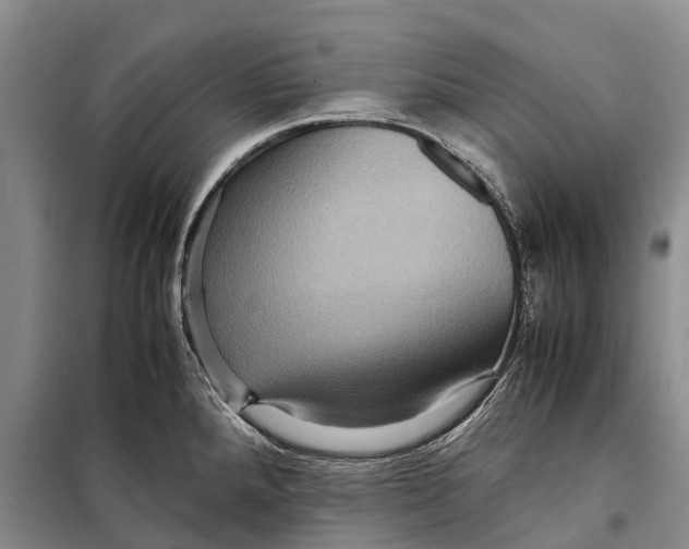 X0000098221288200805151308