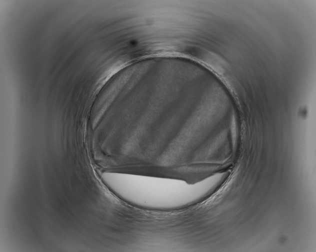 X0000098221289200805151308