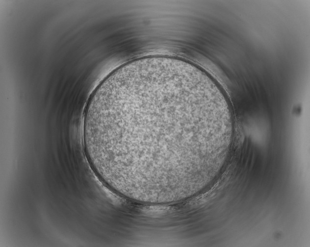 X0000098221290200805151308