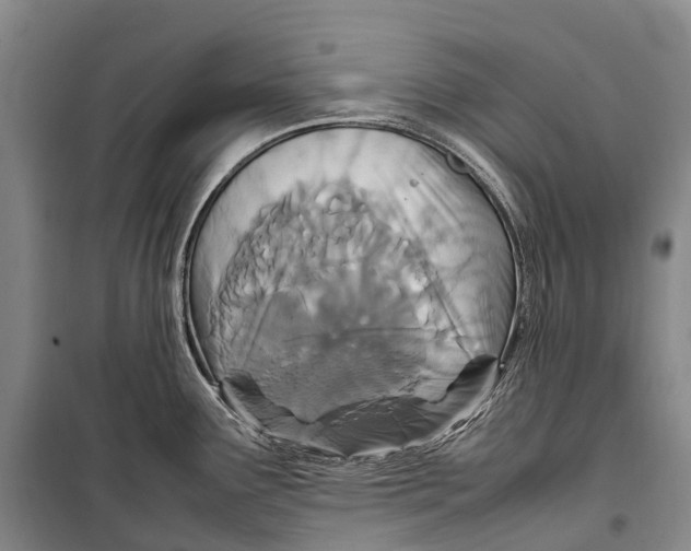 X0000098221291200805151308