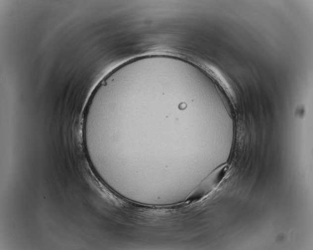 X0000098221292200805151308