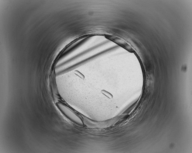 X0000098221293200805151308