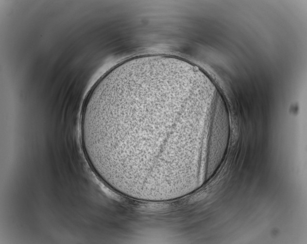 X0000098221294200805151308