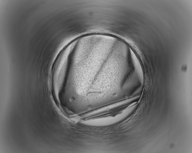 X0000098221295200805151308