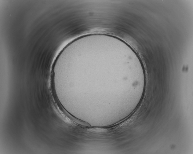 X0000098221296200805151308