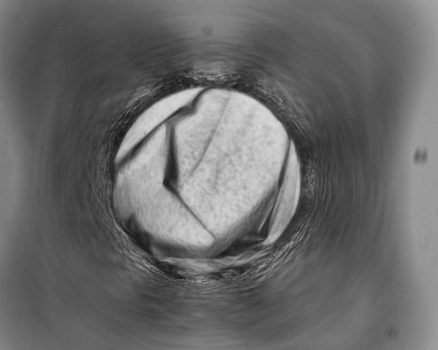 X0000098221297200805151307