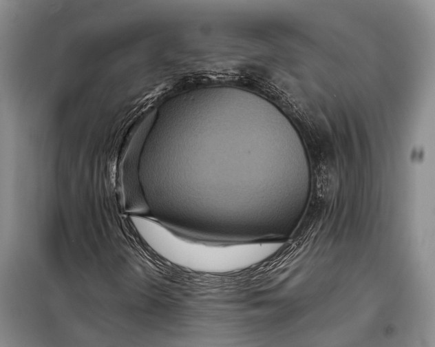 X0000098221298200805151307