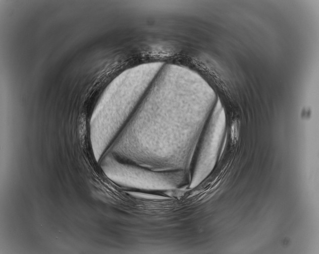 X0000098221299200805151307