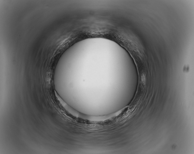 X0000098221300200805151307