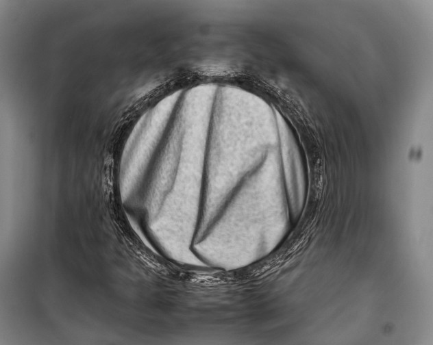 X0000098221301200805151307