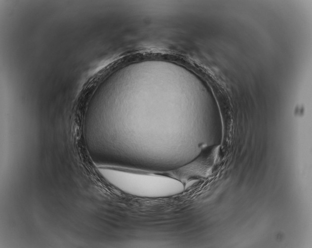 X0000098221303200805151307