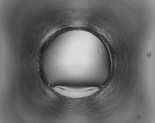 X0000098221304200805151307