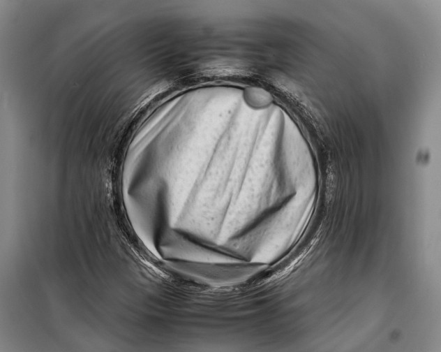 X0000098221305200805151307