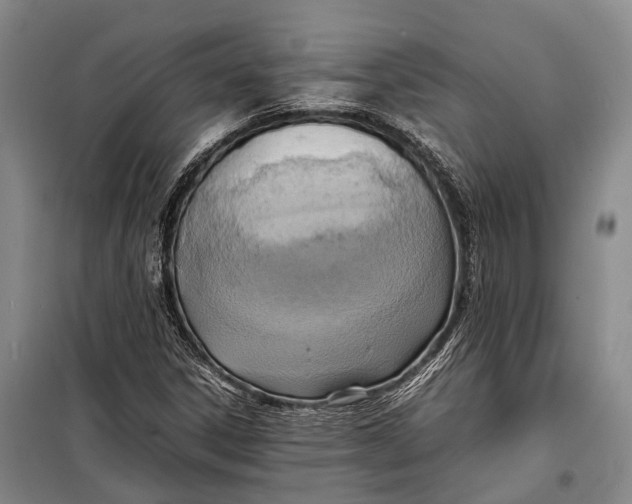 X0000098221306200805151307