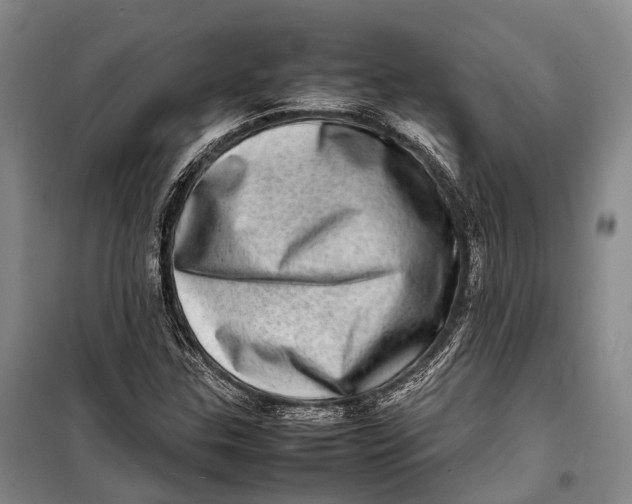 X0000098221307200805151307