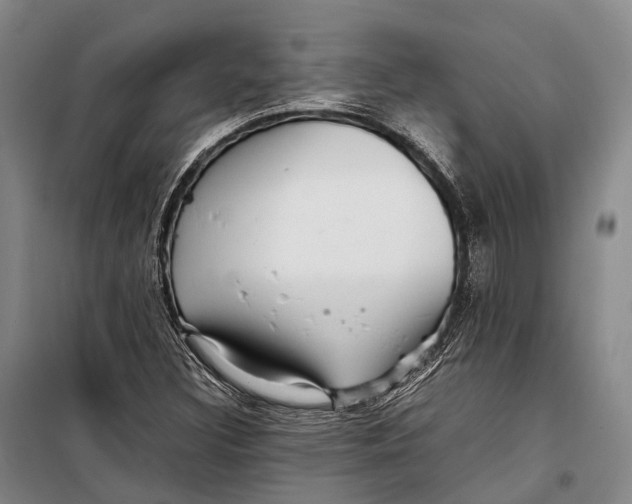 X0000098221308200805151307