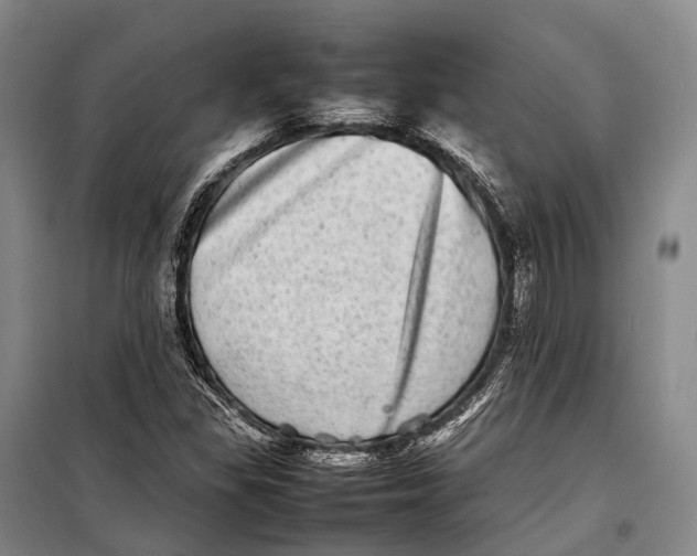 X0000098221309200805151307