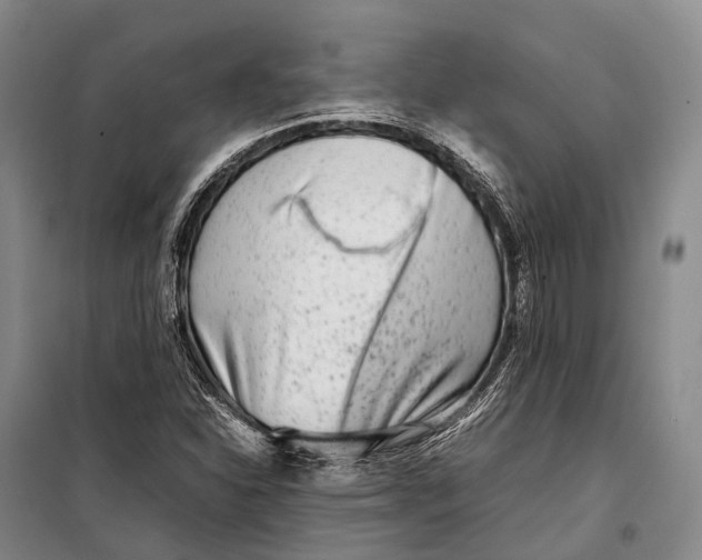 X0000098221310200805151307