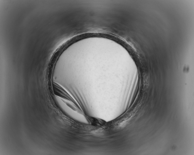 X0000098221311200805151307