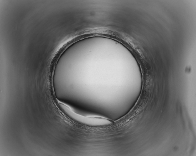 X0000098221312200805151307