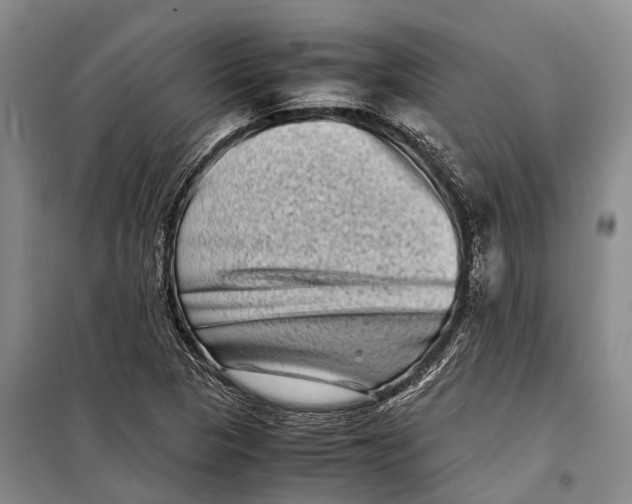 X0000098221313200805151307