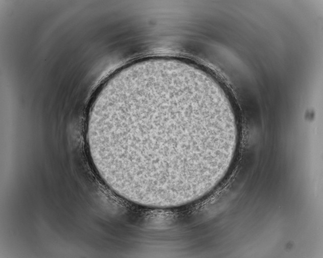 X0000098221314200805151307