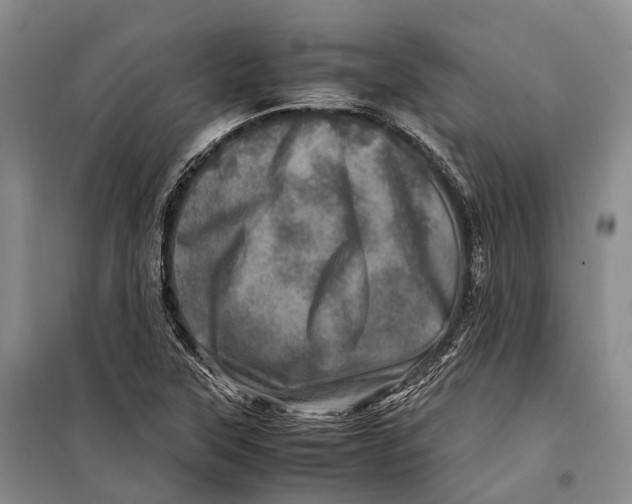 X0000098221315200805151307