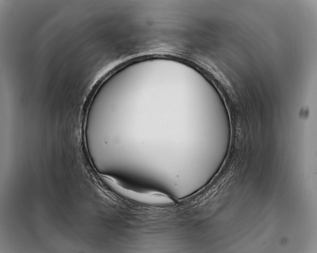 X0000098221316200805151307