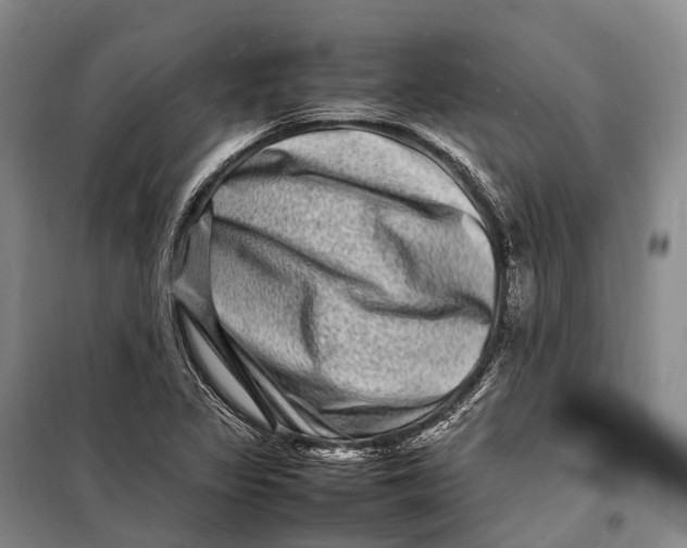 X0000098221317200805151307