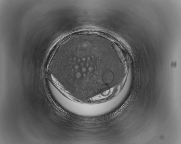 X0000098221318200805151307