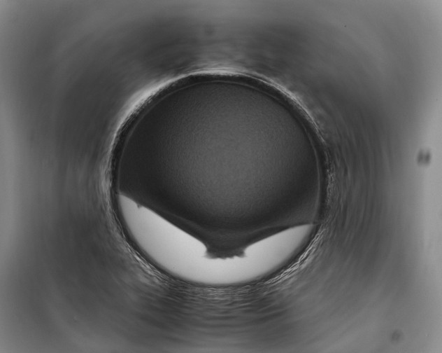 X0000098221319200805151307