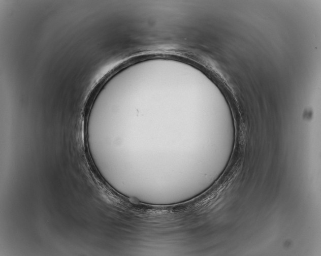 X0000098221320200805151307