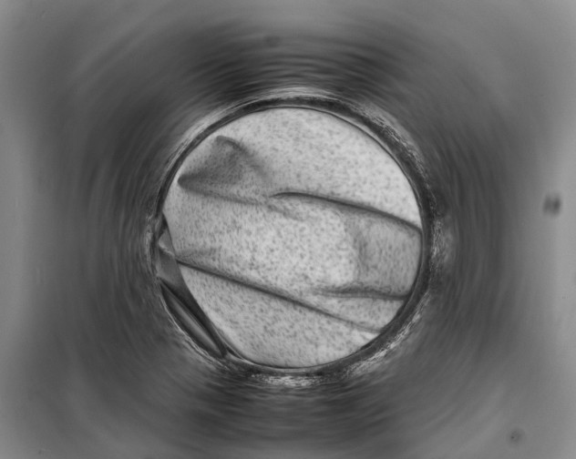 X0000098221321200805151307