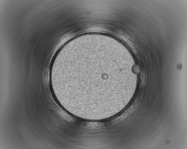 X0000098221322200805151307