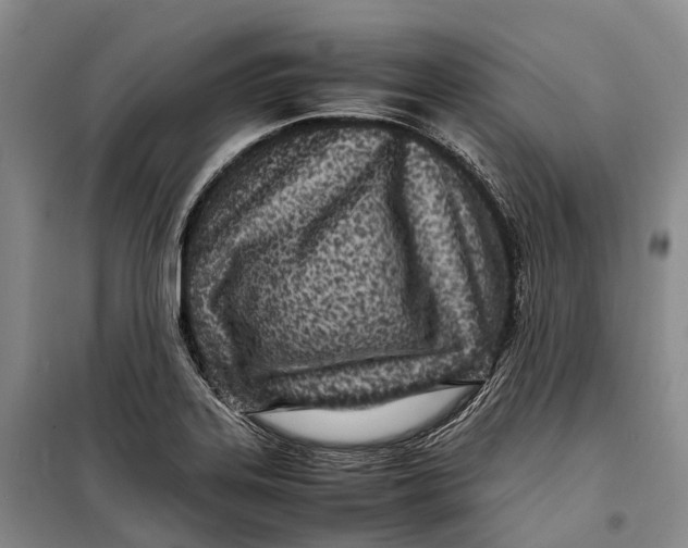 X0000098221323200805151307