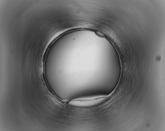 X0000098221324200805151307