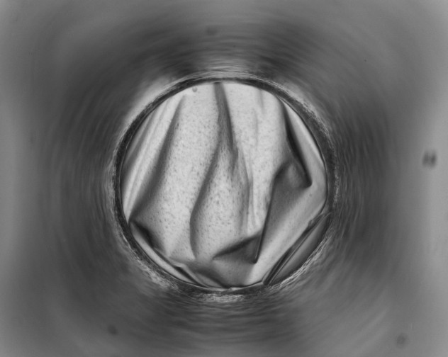 X0000098221325200805151307