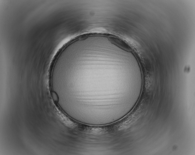 X0000098221326200805151307